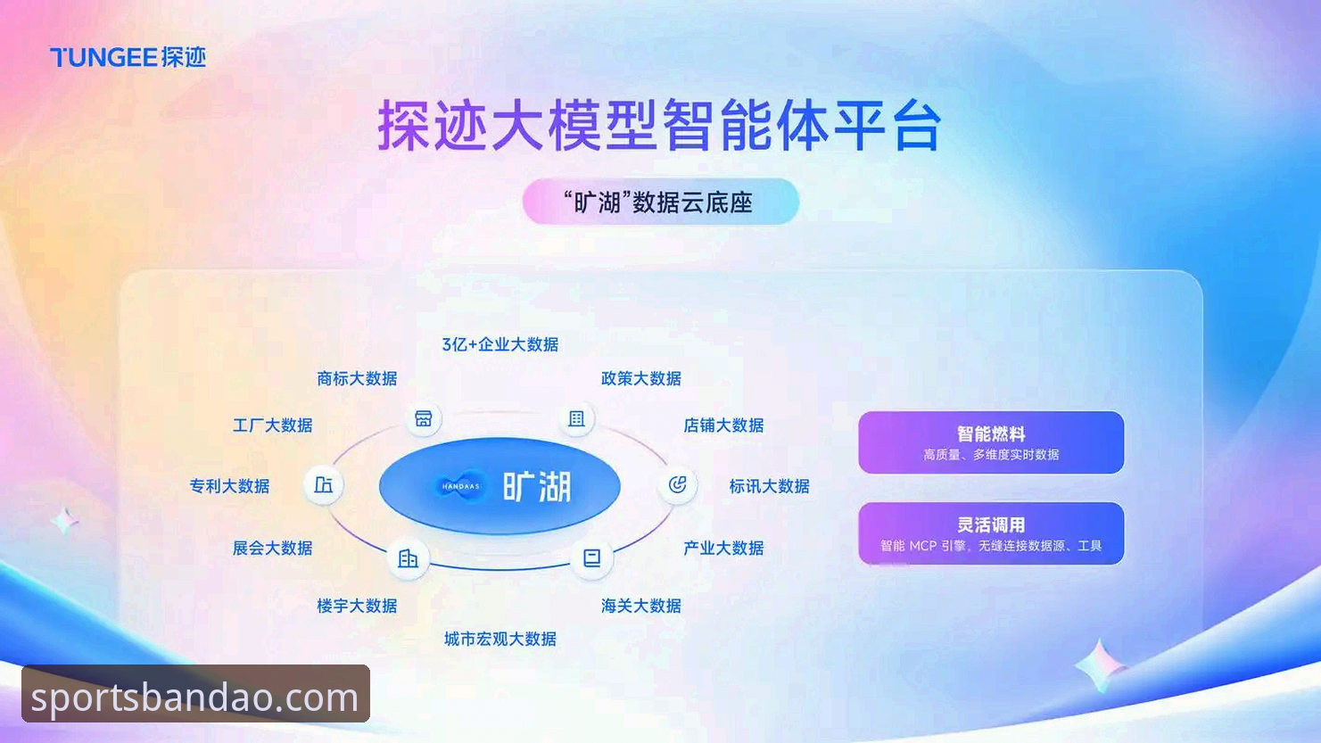 半岛体育官网 半岛平台官网创新之路:从数据服务到智能体育生态的深度分析